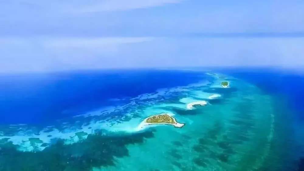 “海南自由港”震撼登場(chǎng)！40個(gè)亮點(diǎn)東方和利帶你一文看懂